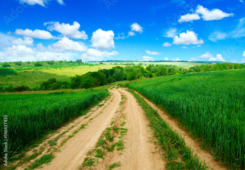 road in field