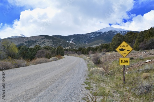Marmot Crossing Sign Great Basin National Park Nevada