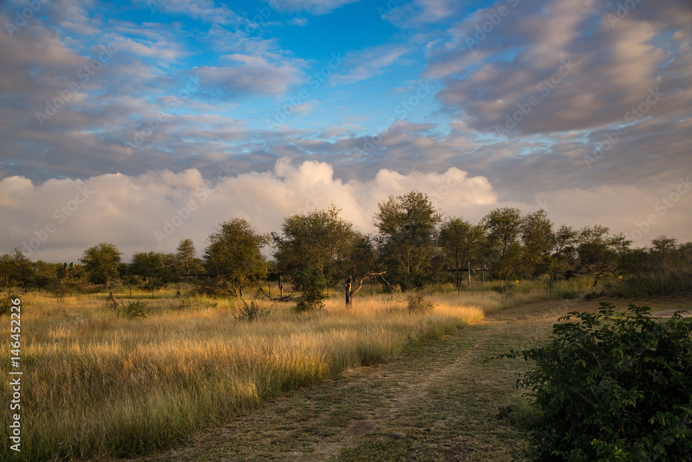Landscape in Kruger-National-Park, South Africa Landscape in Kruger-National-Park, South Africa
