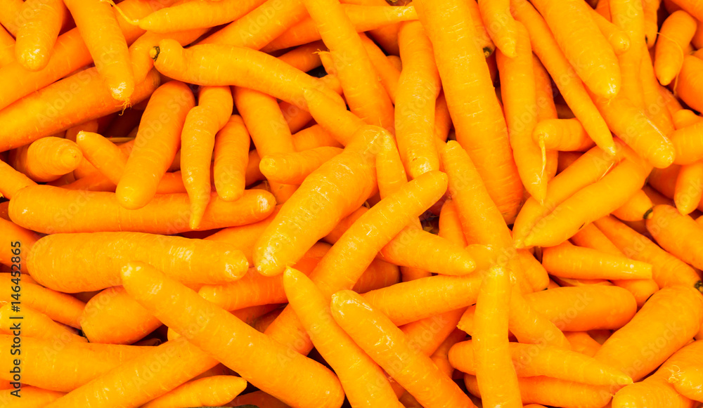 organic food carrot. background organic food carrot. background