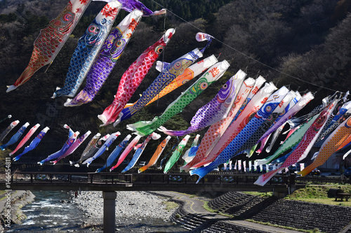 Japanese carp-shaped streamers 