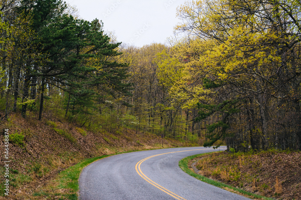 Spring color along the Blue Ridge Parkway in Virginia. Spring color along the Blue Ridge Parkway in Virginia.