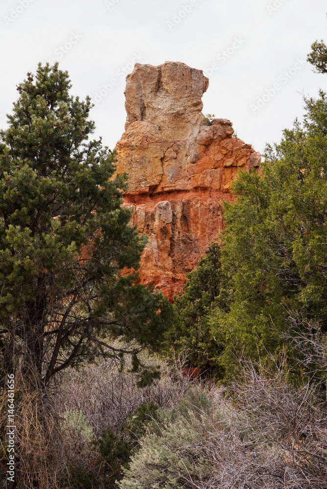 Bizrre rock formations in Red Canyon, Dixie National Forest, Utah, USA