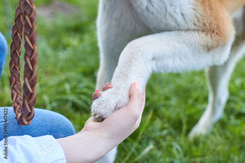 Dog paw and human hand