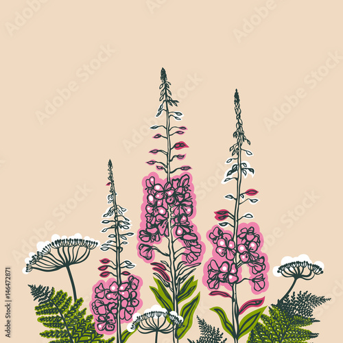 Card with forest and meadow plants. Angelica, fern, fireweed. Flowering plants. Summer theme. Vector illustration.