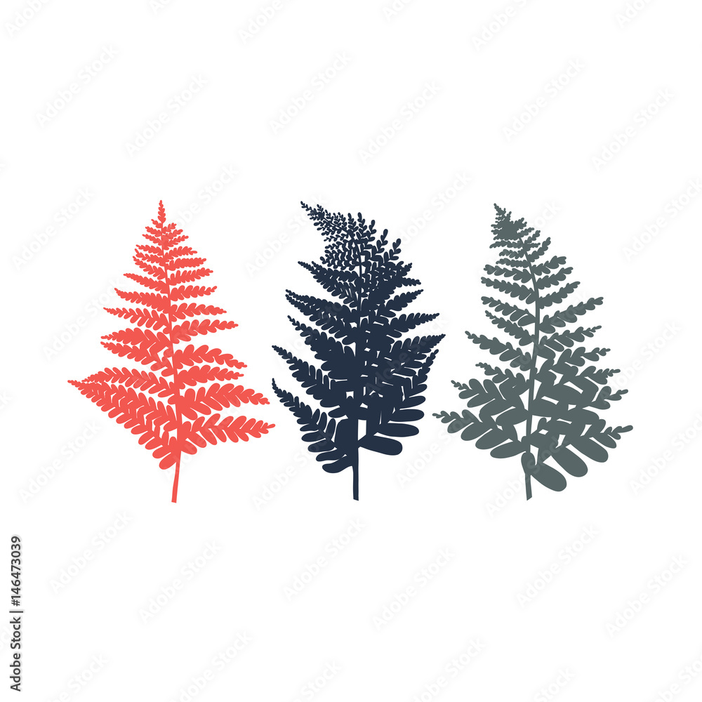 Fern. Set of leaves in red, blue and gray colors. Vector illustration. Fern. Set of leaves in red, blue and gray colors. Vector illustration.