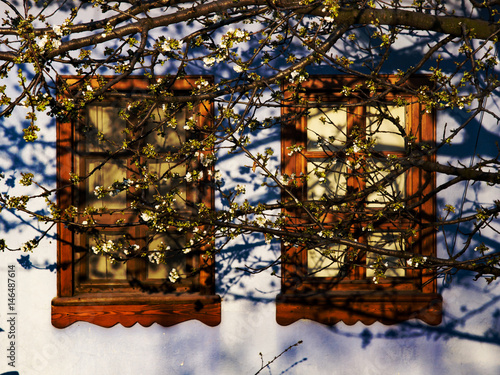 Wallpaper Mural Beautiful Windows Torontodigital.ca