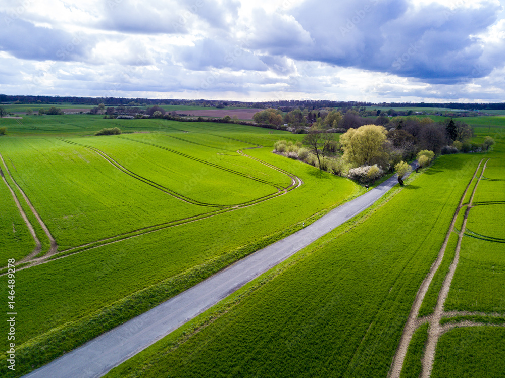 Grüne Felder in einer ländlichen Umgebung / Luftbild