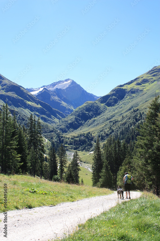 Wandern mit Hund, Tirol