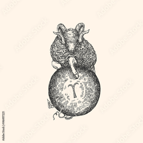 Vintage sign of zodiac. Aries. Vector illustration.