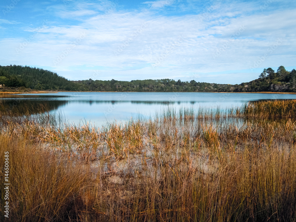 Kai Iwi Lake, New Zealand - Stock Image Kai Iwi Lake, New Zealand - Stock Image