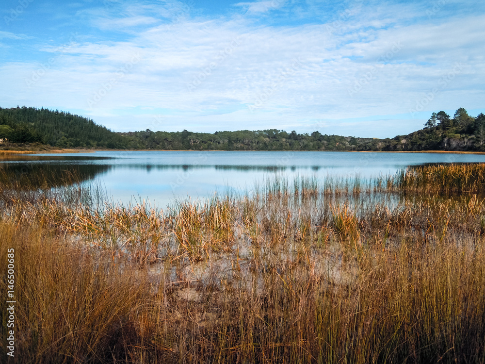 Kai Iwi Lake, New Zealand - Stock Image