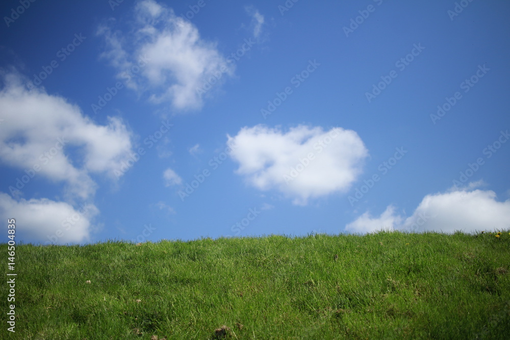 Fototapeta premium Blue sky