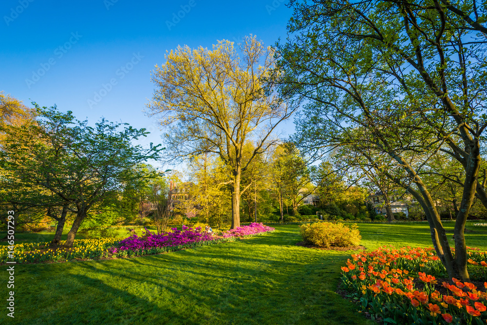 Naklejka premium Colorful flowers and trees at Sherwood Gardens Park in Guilford, Baltimore, Maryland.