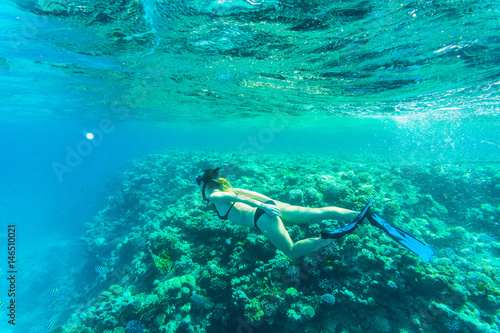 Beautiful coral reef with young freediver woman, underwater life. Copyspace for text