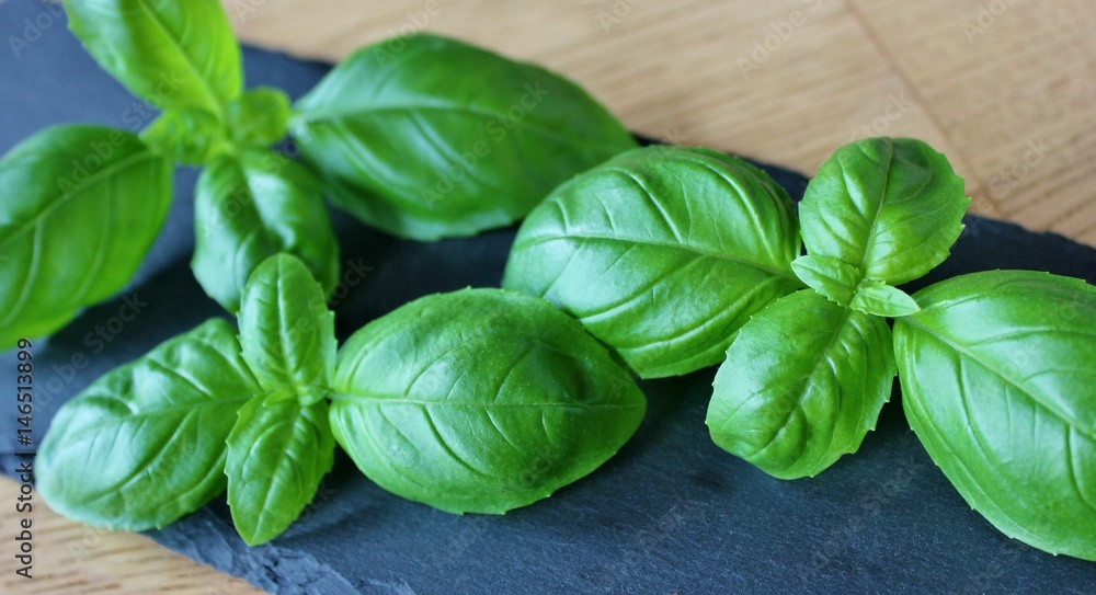 Basil leaves on black slate plate Basil leaves on black slate plate
