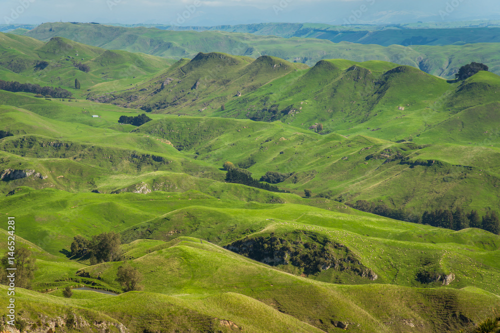 The scenic landscape view of Heretaunga plains view from the summit of Te Mata Peak, Hawke's bay region, New Zealand. The scenic landscape view of Heretaunga plains view from the summit of Te Mata Peak, Hawke's bay region, New Zealand.