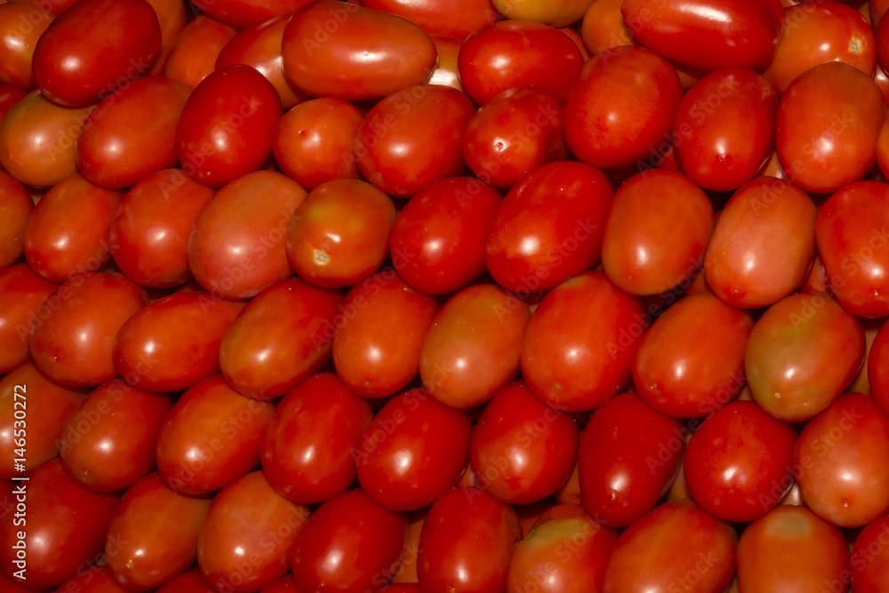 Tomatoes Tomatoes