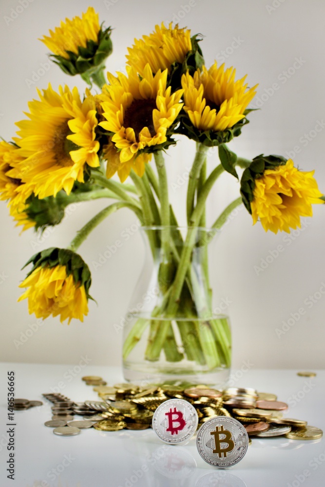 Fototapeta premium Silver bitcoin and yellow sunflower