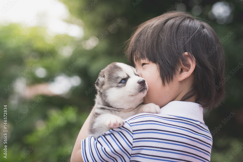 Cute asiaan child holding siberian husky Cute asiaan child holding siberian husky