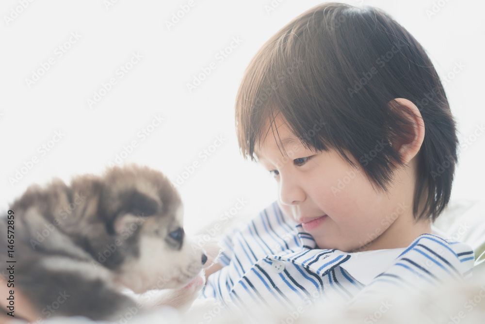 Cute asian child playing with siberian husky puppy