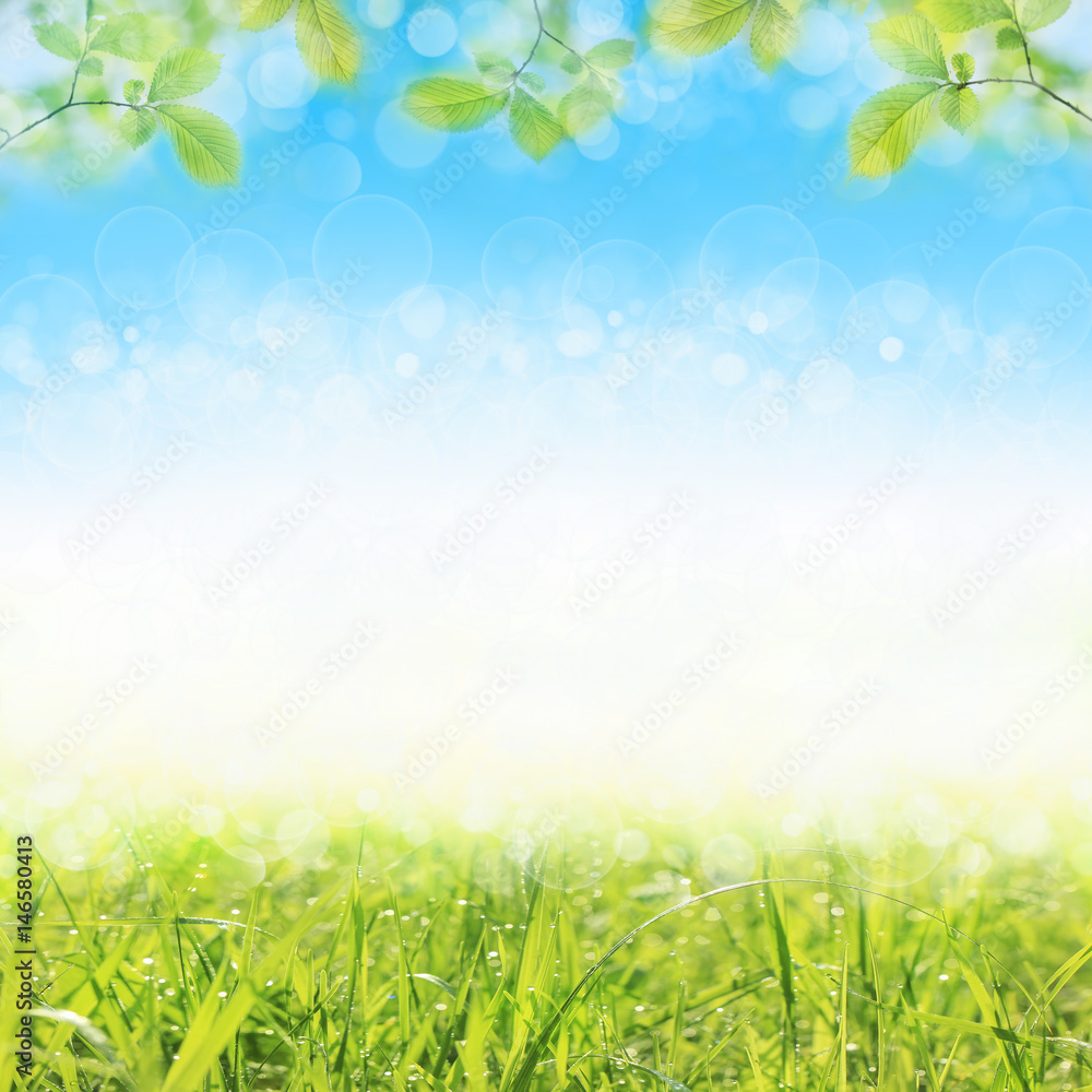 Fototapeta premium Nature spring or summer background. Blue sky, young green leaves and grass
