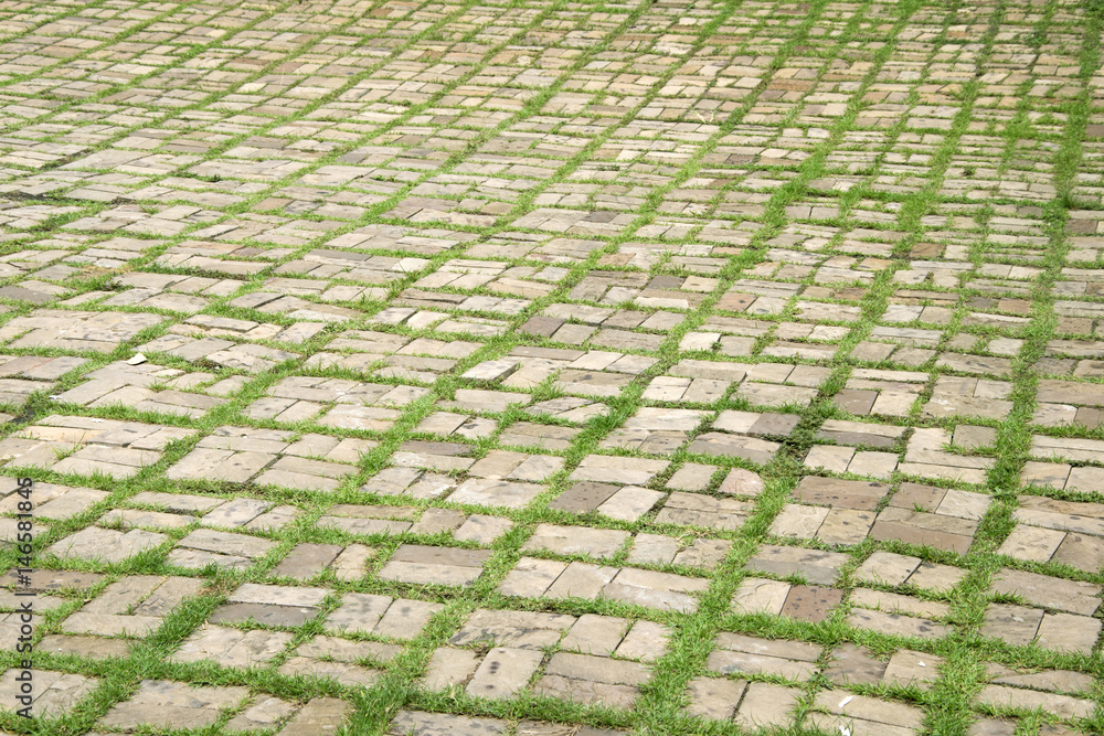 Fototapeta premium walkway with grass growing between the stones.