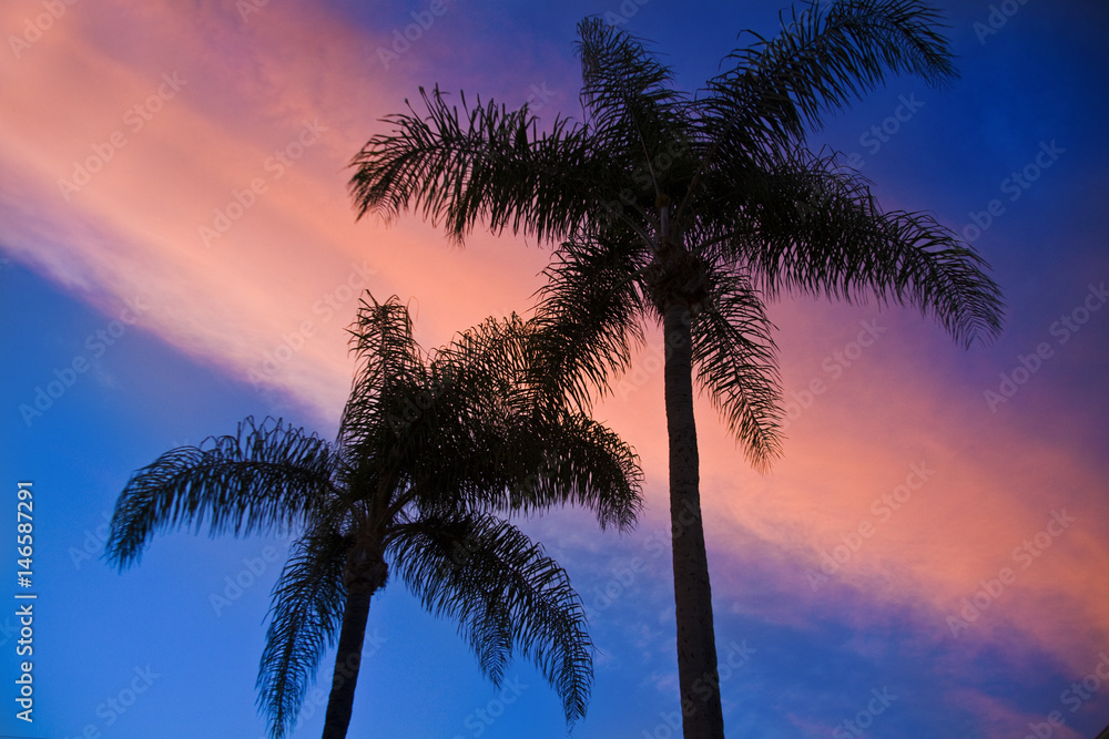 Sunset Clouds Palms
