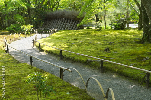 竹やぶと小道