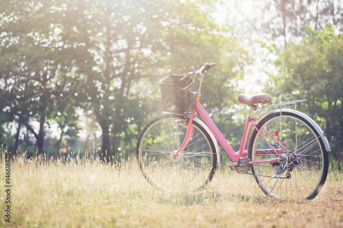 Landscape picture Vintage Bicycle with Summer grass field