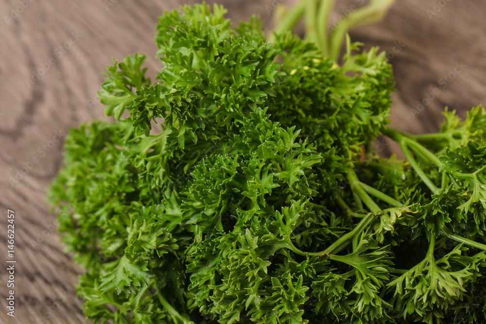 Fresh green parsley Fresh green parsley