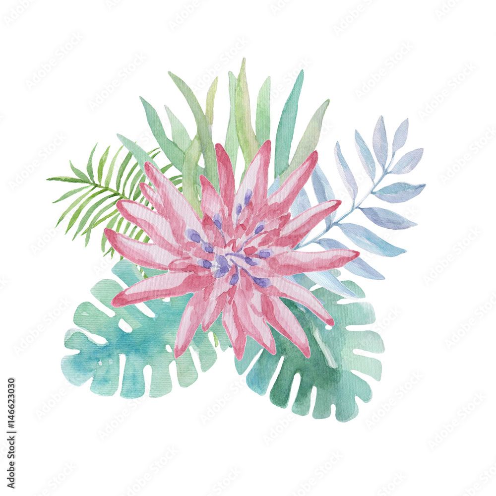 Watercolor illustration, tropical flowers, leaves Watercolor illustration, tropical flowers, leaves