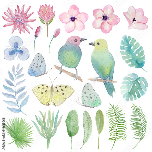 Watercolor set tropical birds  flowers  leaves
