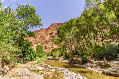 View at the Todra river in Todgha Gorge ,Morocco