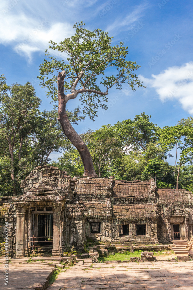 Ta Prohm temple with silk cotton tree roots in Angkor, Siem Reap, Cambodia.