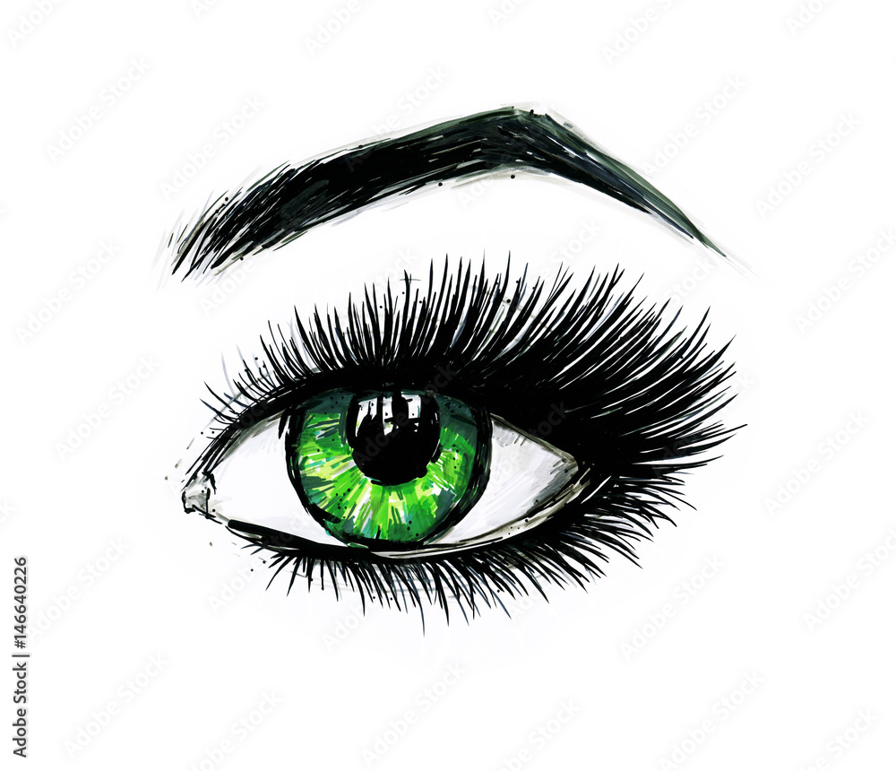 Beautiful open female green eye with long eyelashes is isolated on a white background. Makeup template illustration. Color sketch felt-tip pens. Handwork. Fast schematic drawing Beautiful open female green eye with long eyelashes is isolated on a white background. Makeup template illustration. Color sketch felt-tip pens. Handwork. Fast schematic drawing
