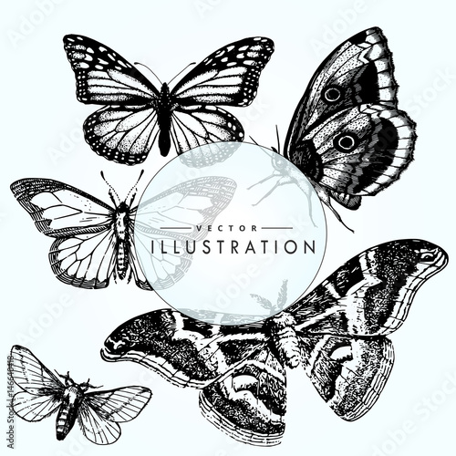 set sketch tattoo butterfly