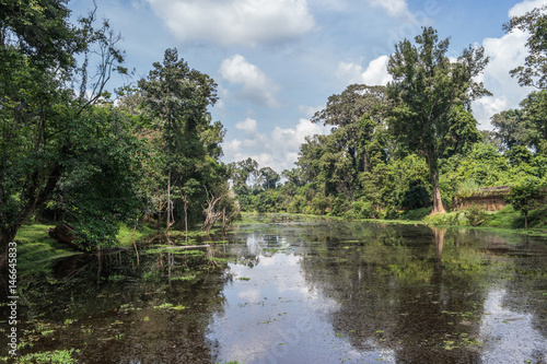 Moat near Preah Khan temple, Angkor, Cambodia photo