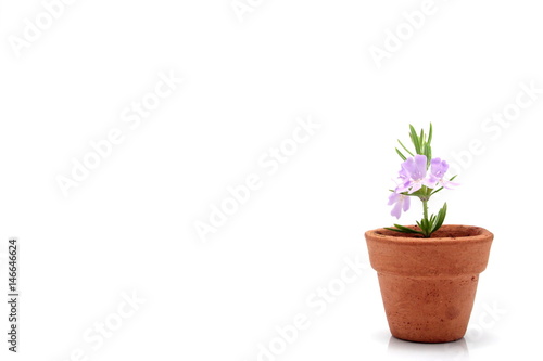 Flower Pot right