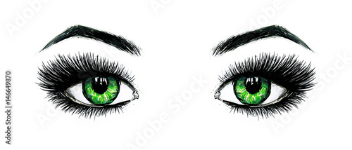 Beautiful open female green eyes with long eyelashes is isolated on a white background. Makeup template illustration. Color sketch felt-tip pens. Handwork. Fast schematic drawing
