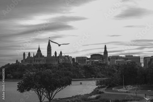 Views under seagull flight, Ottawa, Ontario, Canada