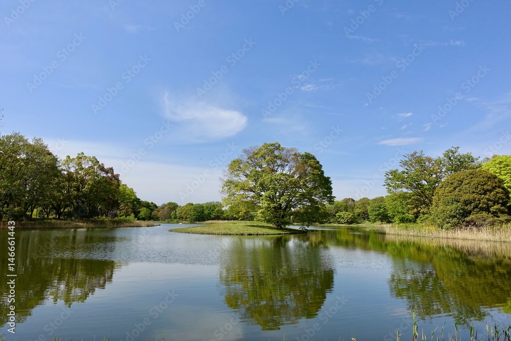 春の池