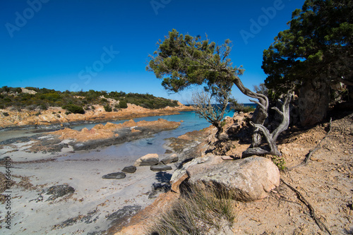 Fotografía italy sardinia landscape prince bay in summer