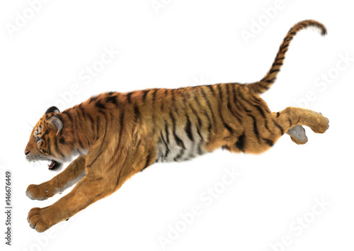 Fototapeta Naklejka Na Ścianę i Meble -  3D Rendering Big Cat Tiger on White