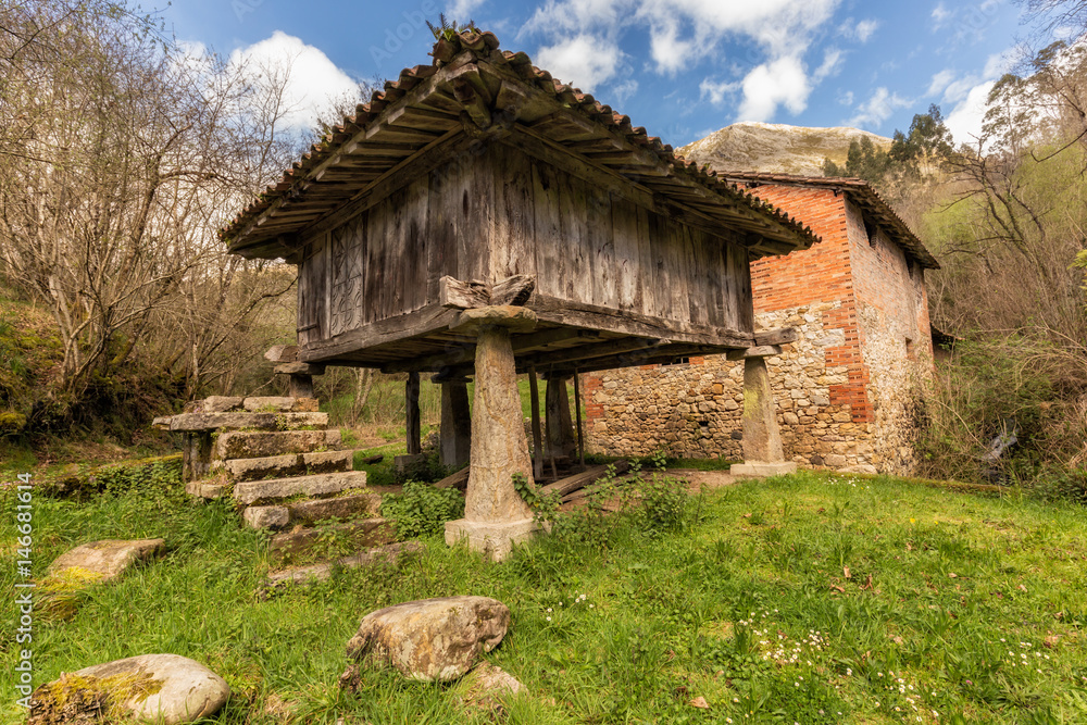 Horreo asturiano. Asturian barn. Popular architecture in Riocaliente. Asturias. Spain.