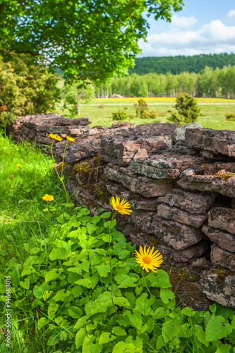 Flowers by a stone wall in the country