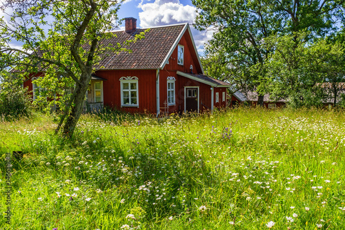 Overgrown garden at a red cottage