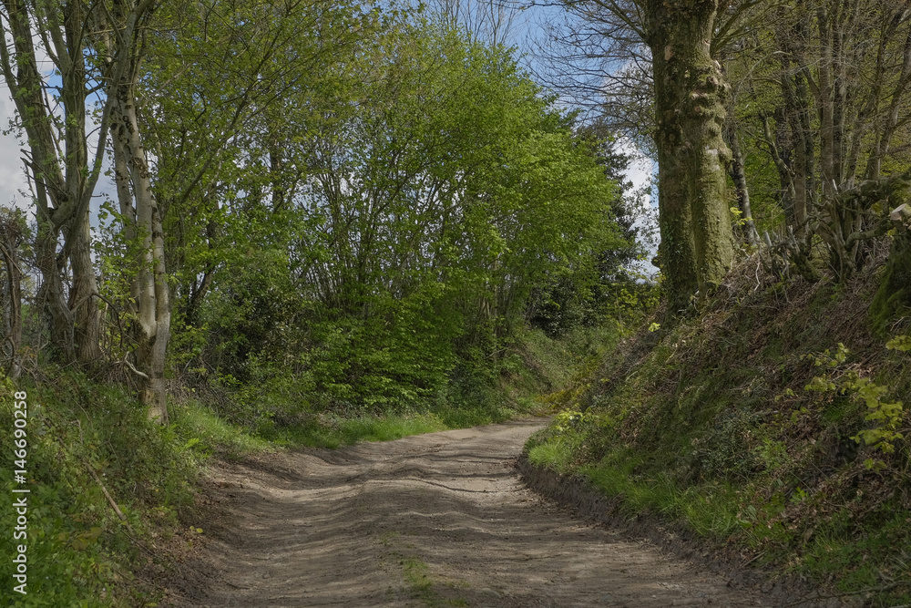 chemin rural dans le bocage mayennais chemin rural dans le bocage mayennais