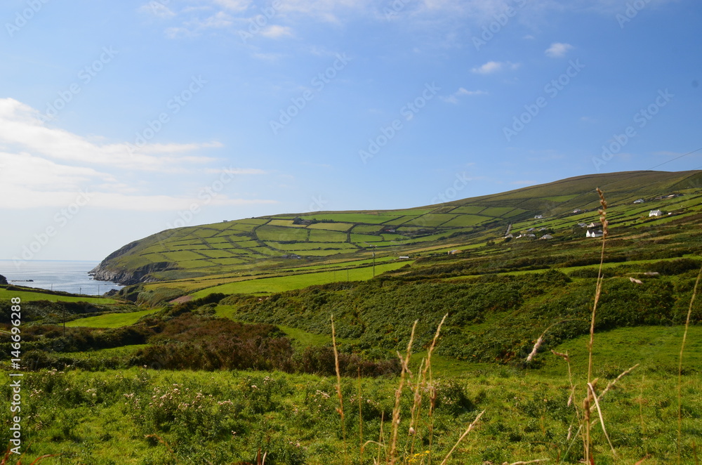 Obraz premium irische Landschaft