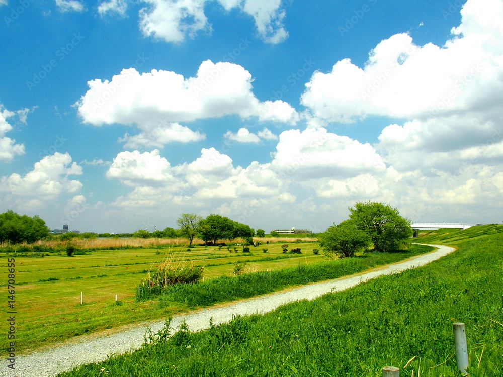 Naklejka premium 春の江戸川河川敷風景